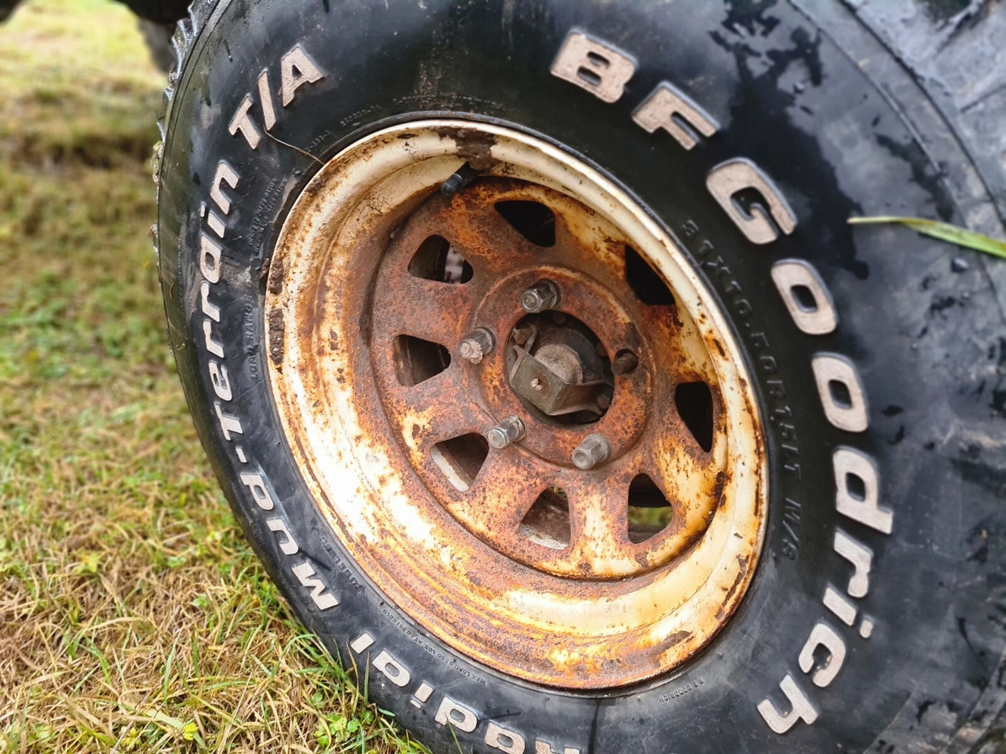 c6f8afa1a55256a8833c88317bceb9e6