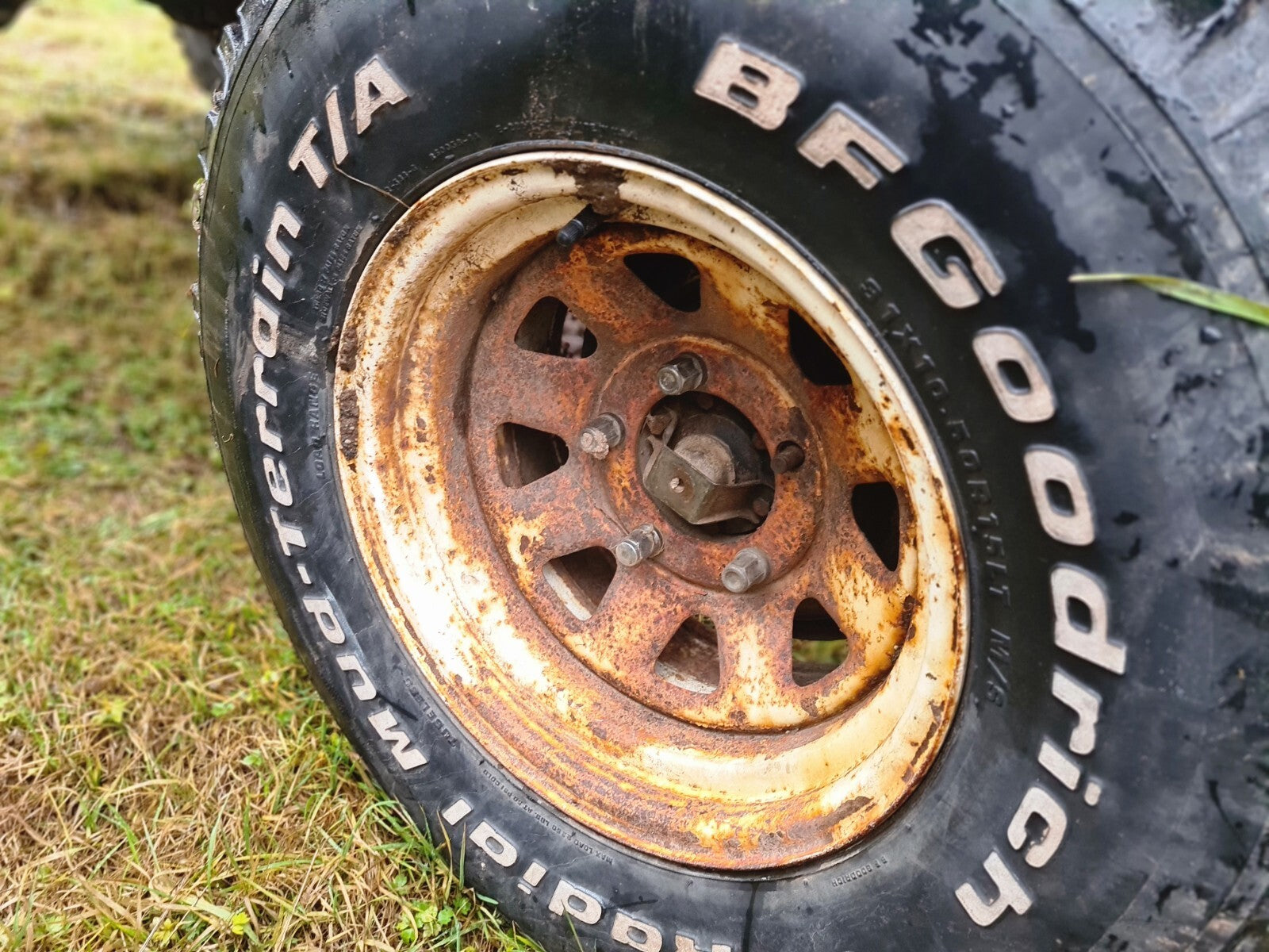 c6f8afa1a55256a8833c88317bceb9e6