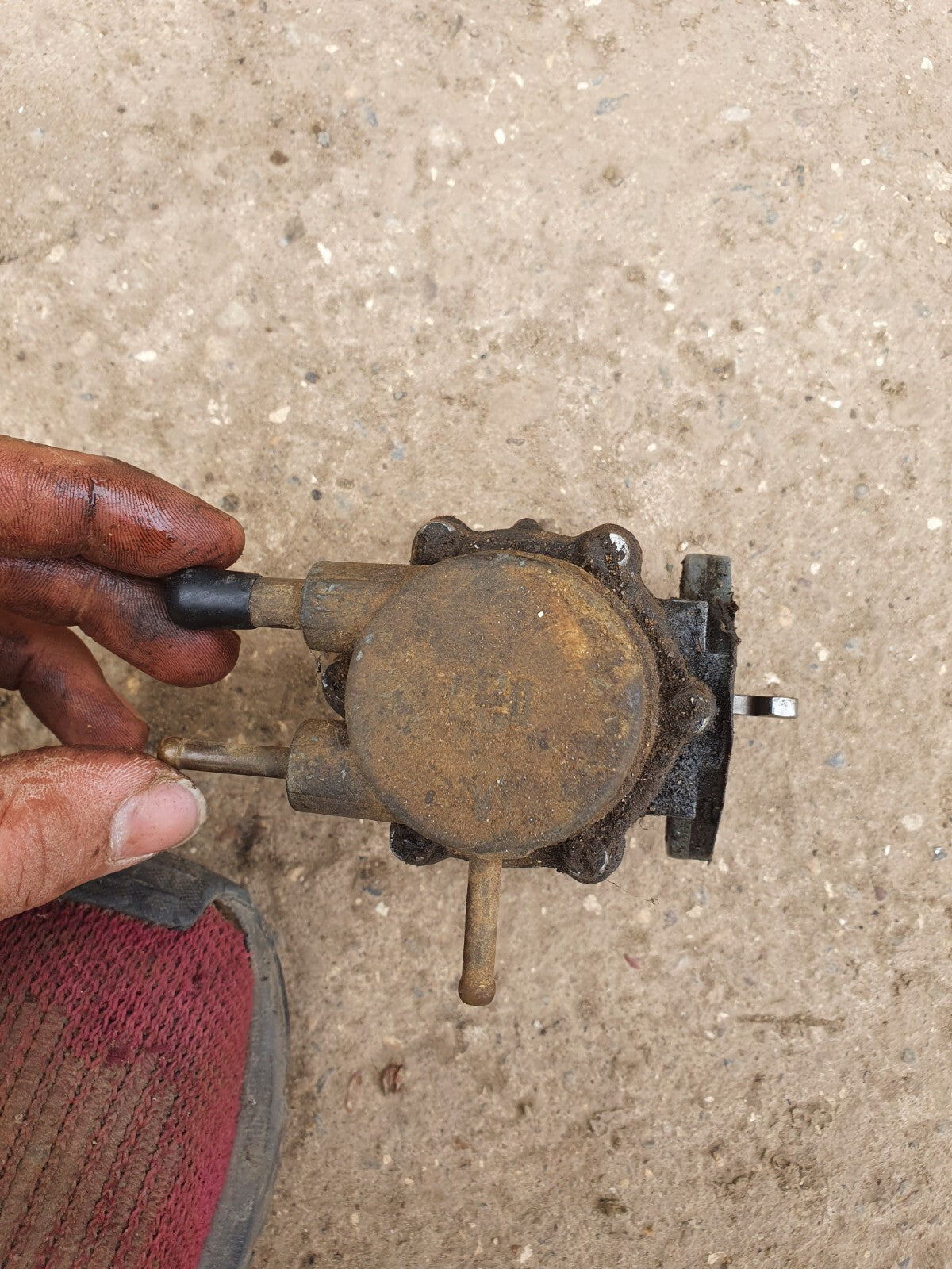 01244bc5a78c31de9fd4a21a10f91e8e