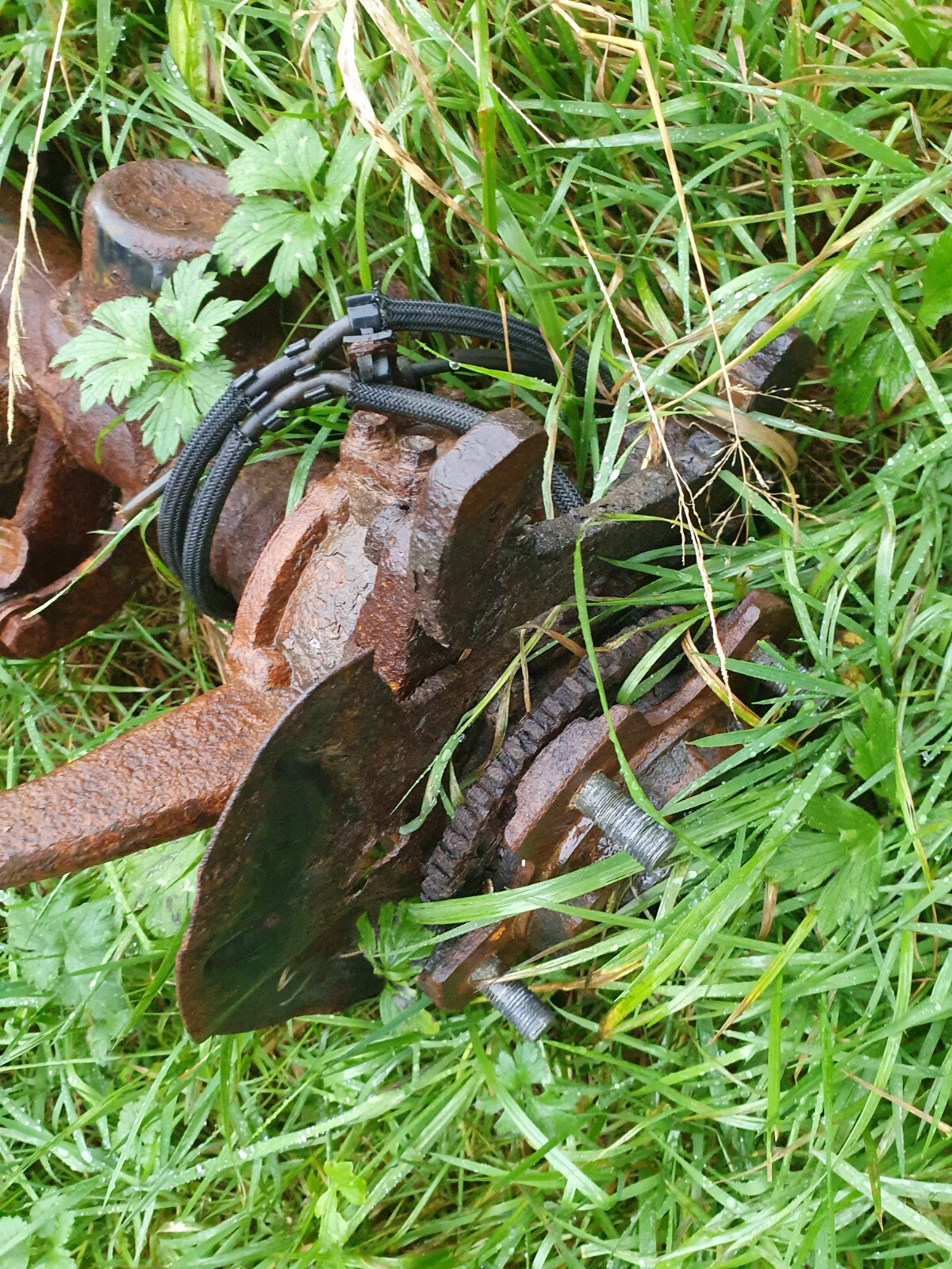 1ad20d6b0860654a1f85e5921b1b49a9