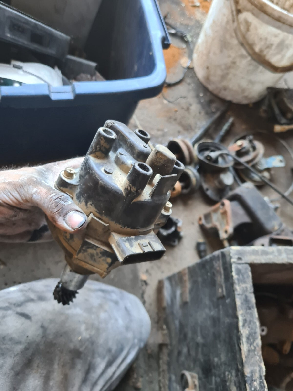 8bb8a8a6ecbcb3d2348375bf2241e982