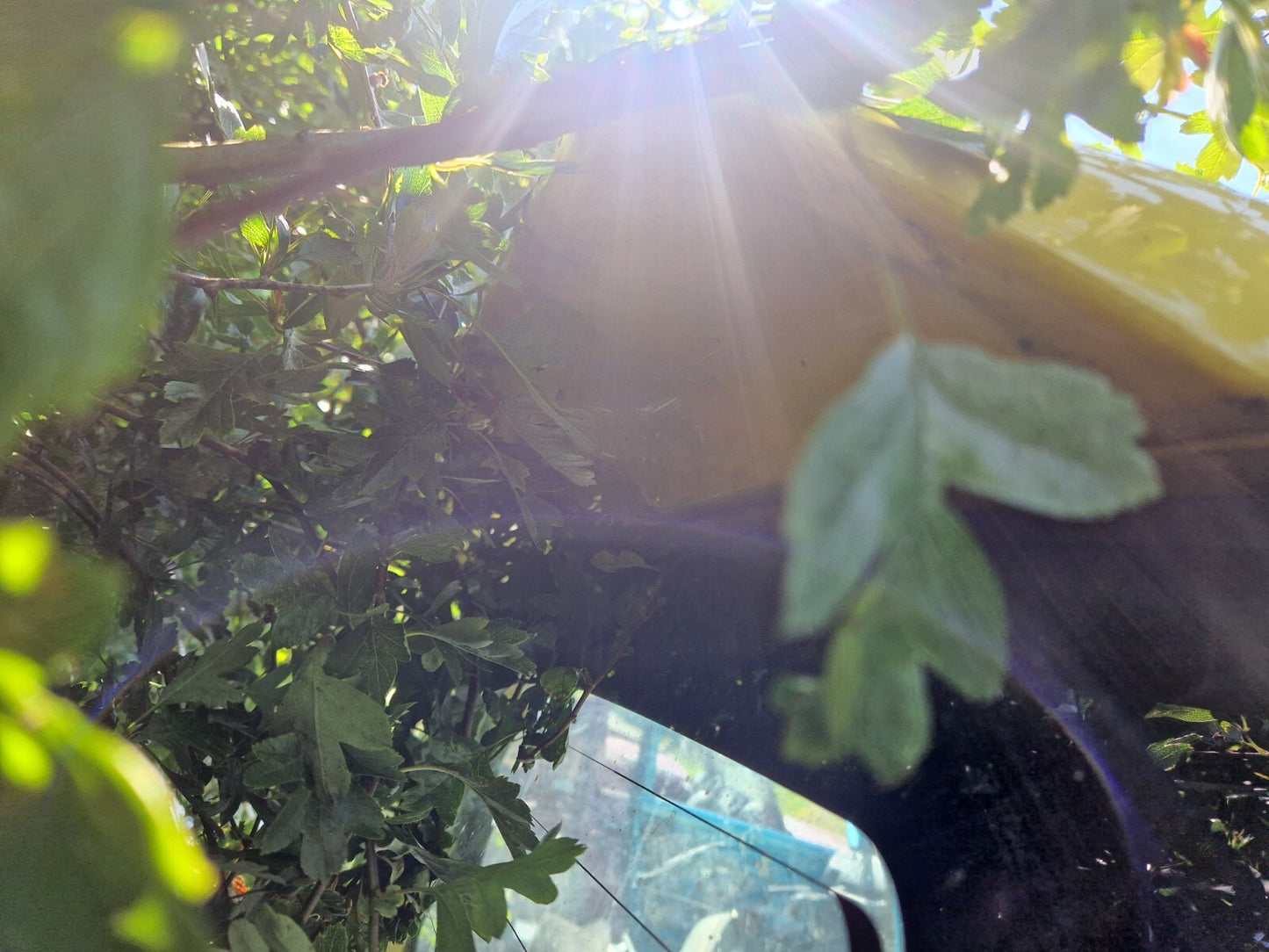 25caf0a9959bec67d3a8706154eb258b