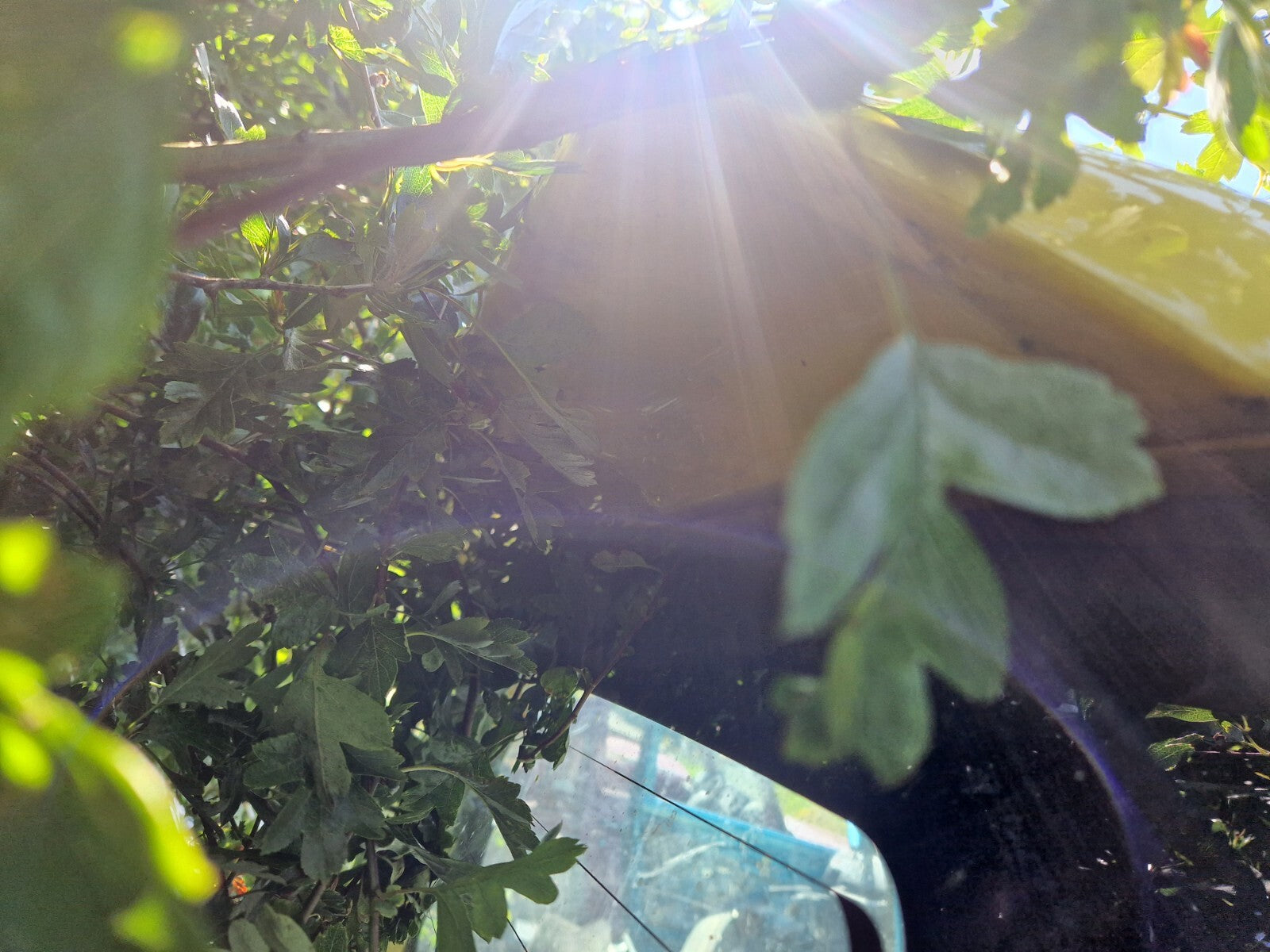 25caf0a9959bec67d3a8706154eb258b