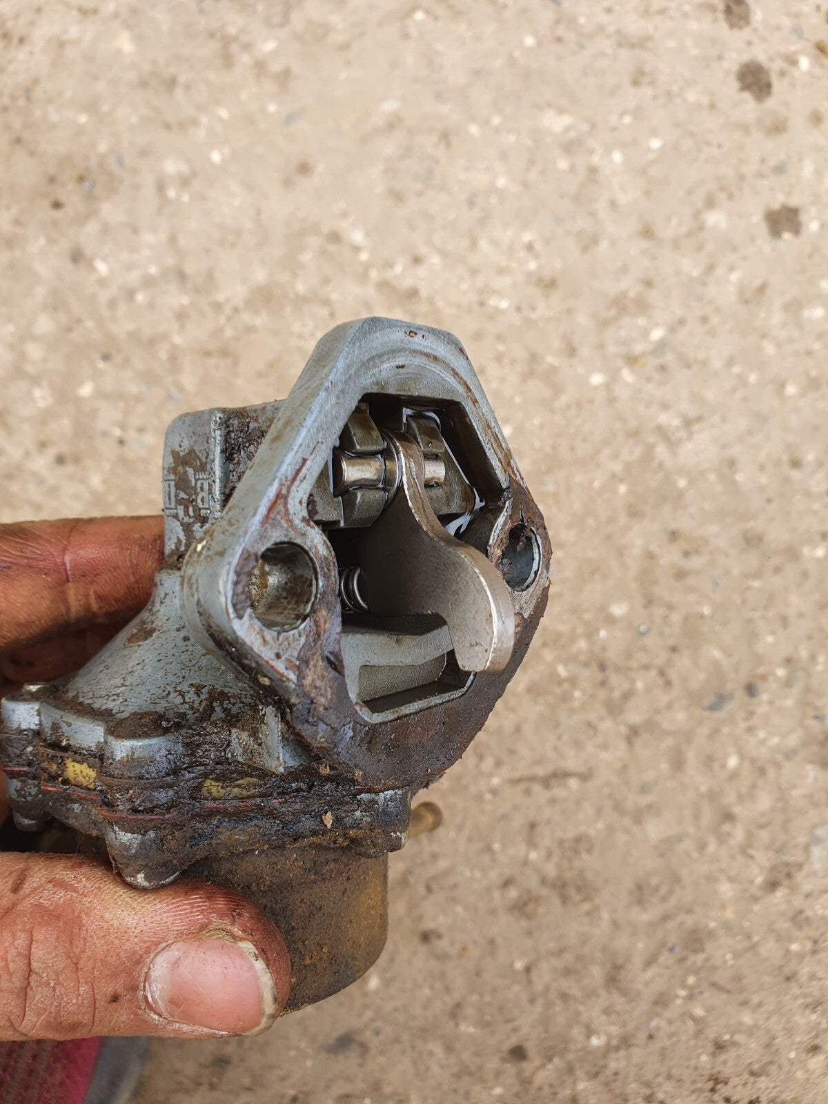 3ed6b4c1d2ccdf378476461d26a930c5