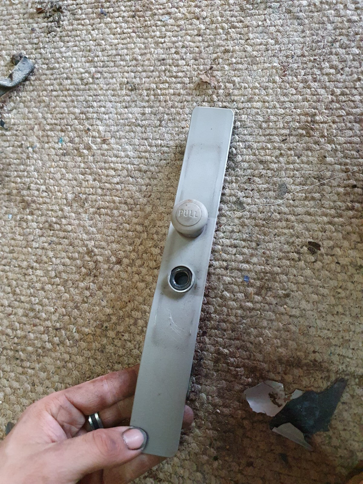 1b06e68a2f04a0b6e9623d2c385d82b3