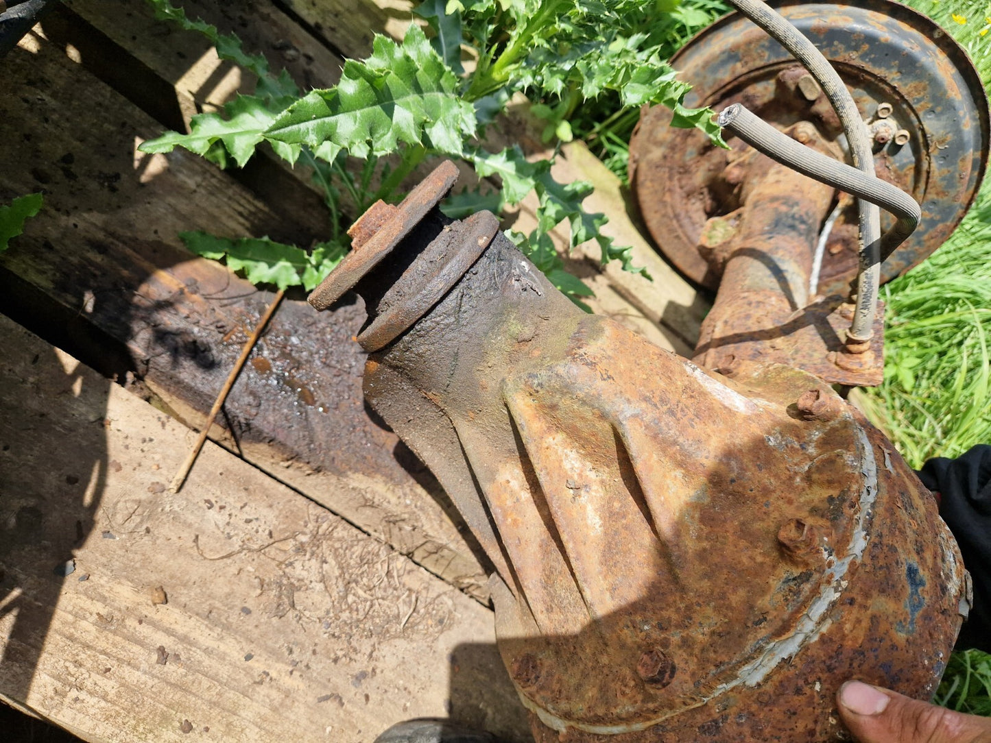 ac241ed4aa884a328887e9dabe11093e