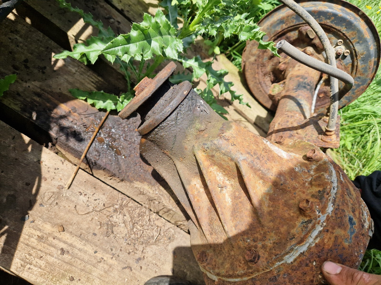 ac241ed4aa884a328887e9dabe11093e