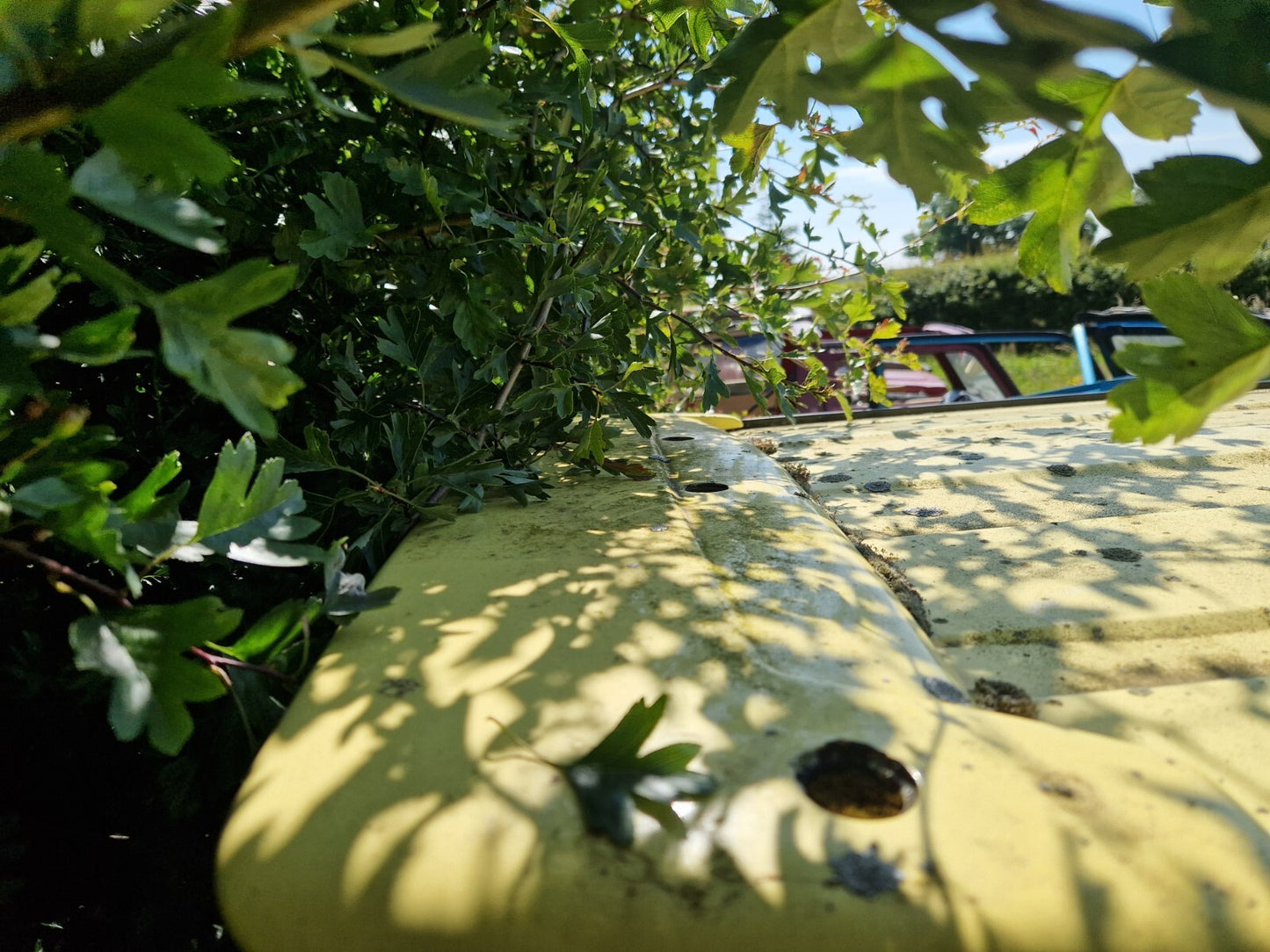 a32fa68e143ea545c7874c9cf4da1103