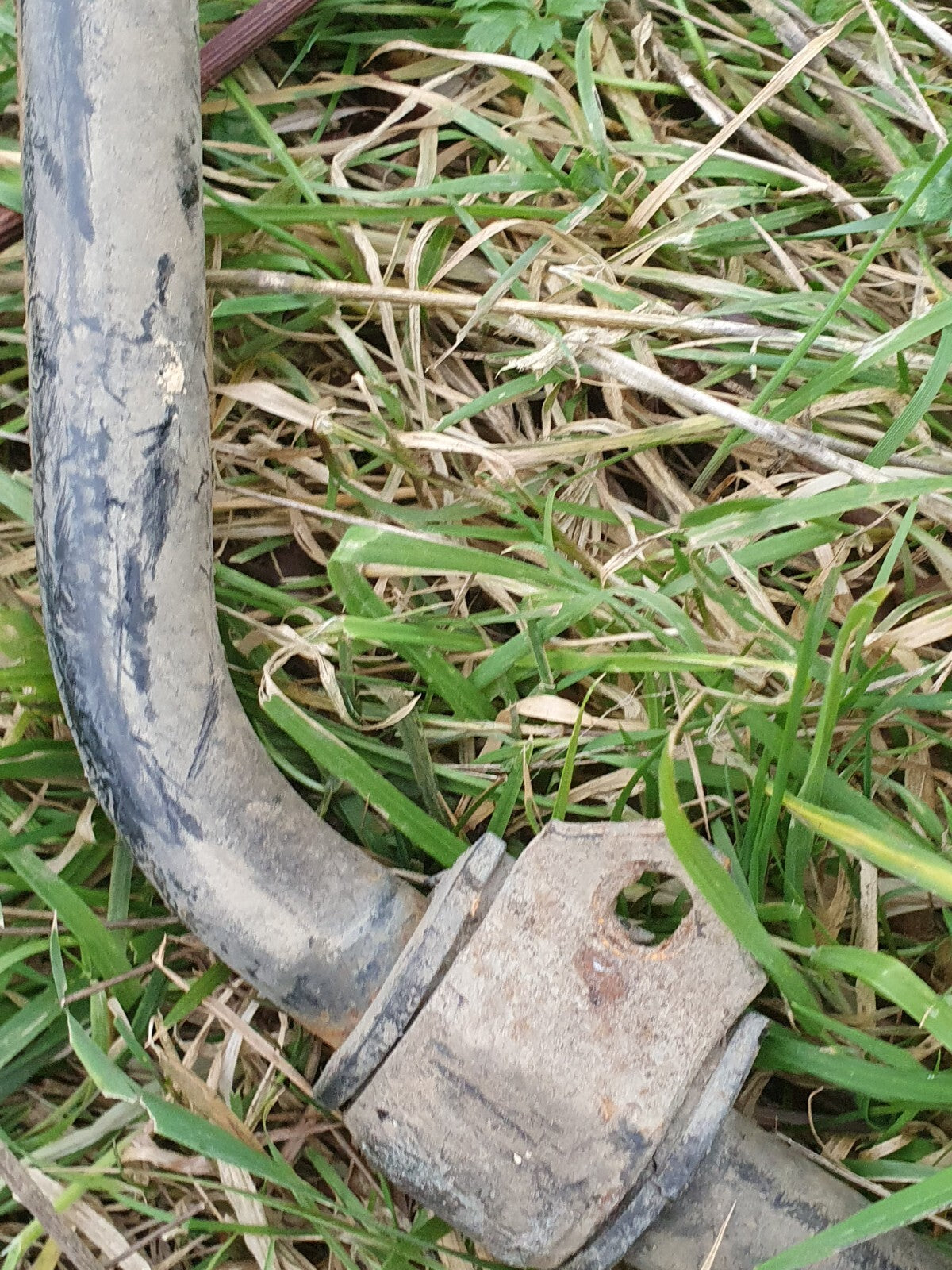 17b10950f1e485d021c7924396d6a4c7