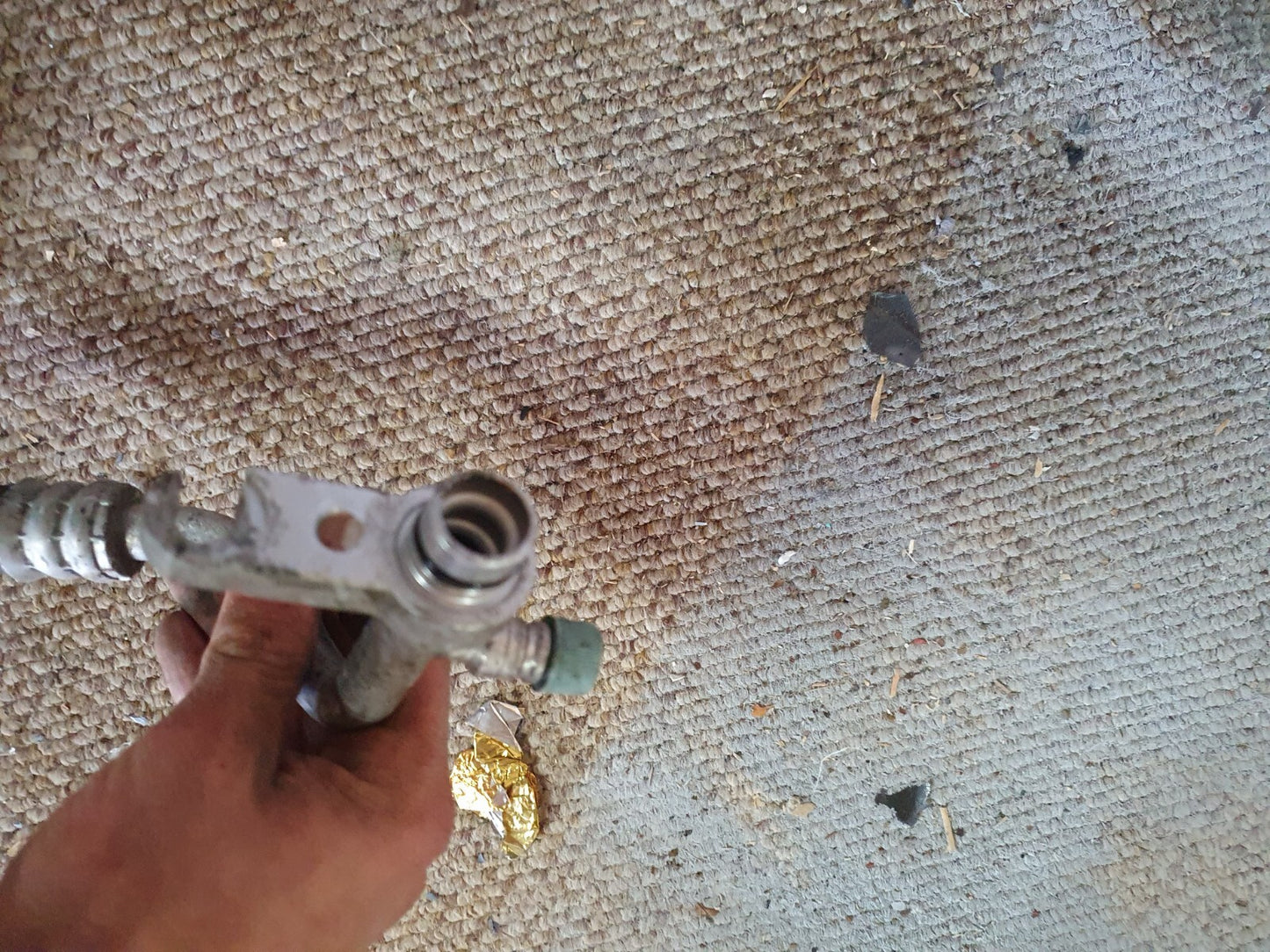 2da9e36bebbd2ff0d899d40d9f0b6dc2