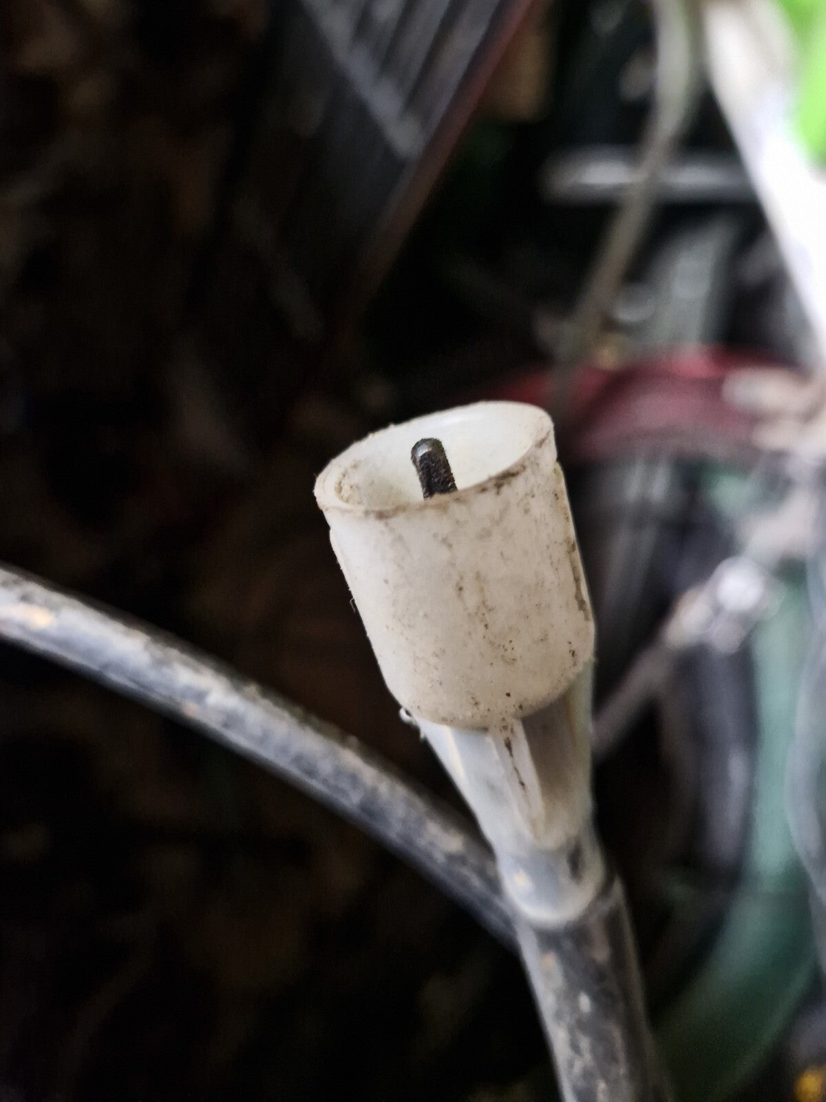 d55dfc73436a3dfc3f2990887765f6a0