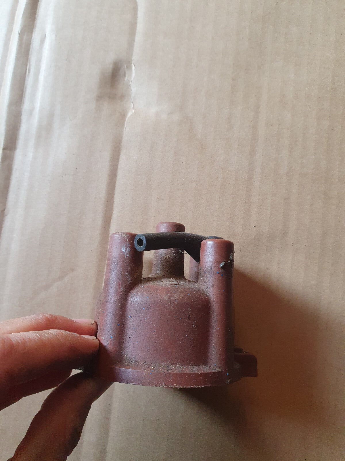 3d53e0ba623c495f2c4f08f7f976011f