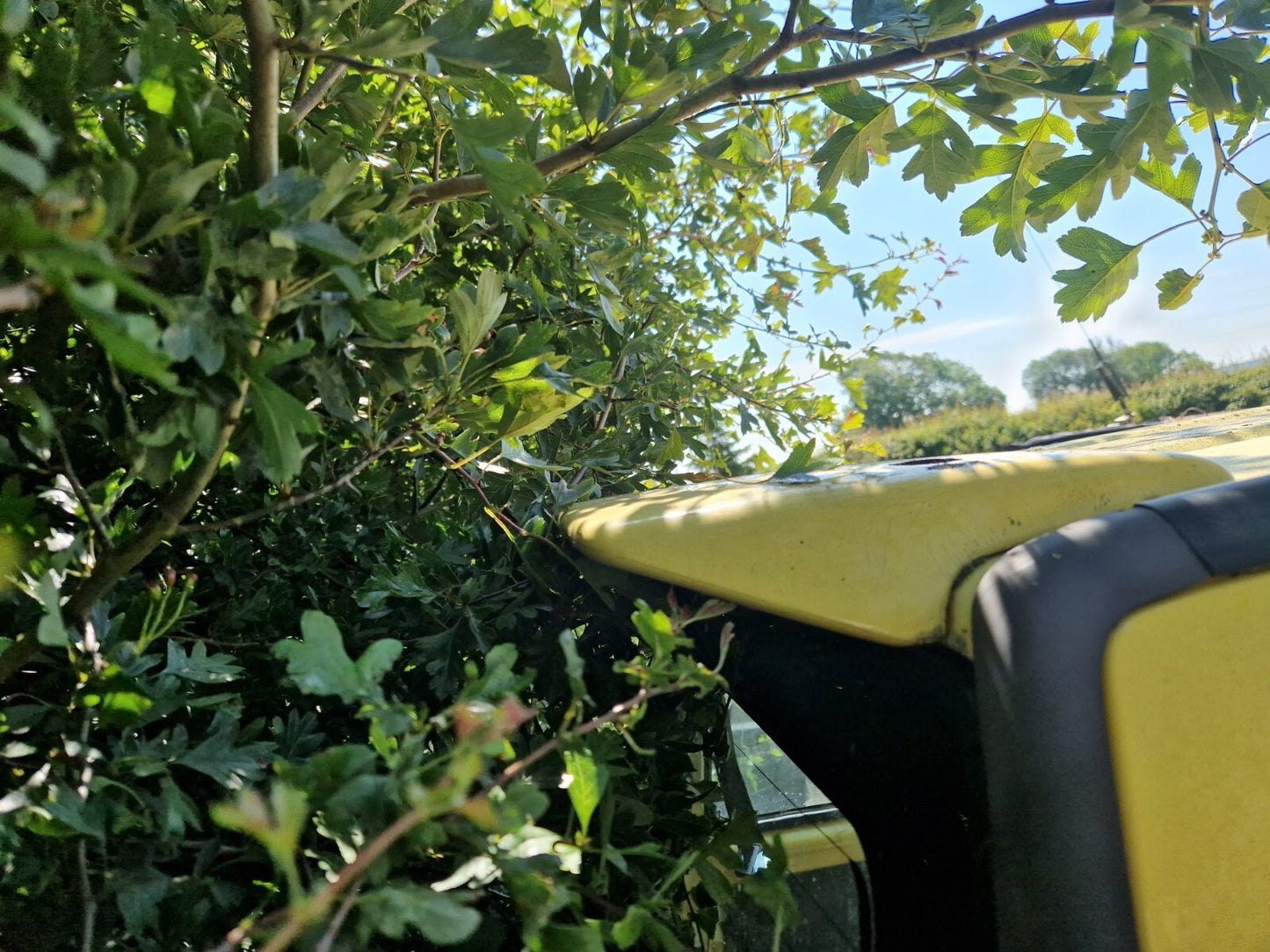 1fc3c546198e7aa3194601177e4892e9