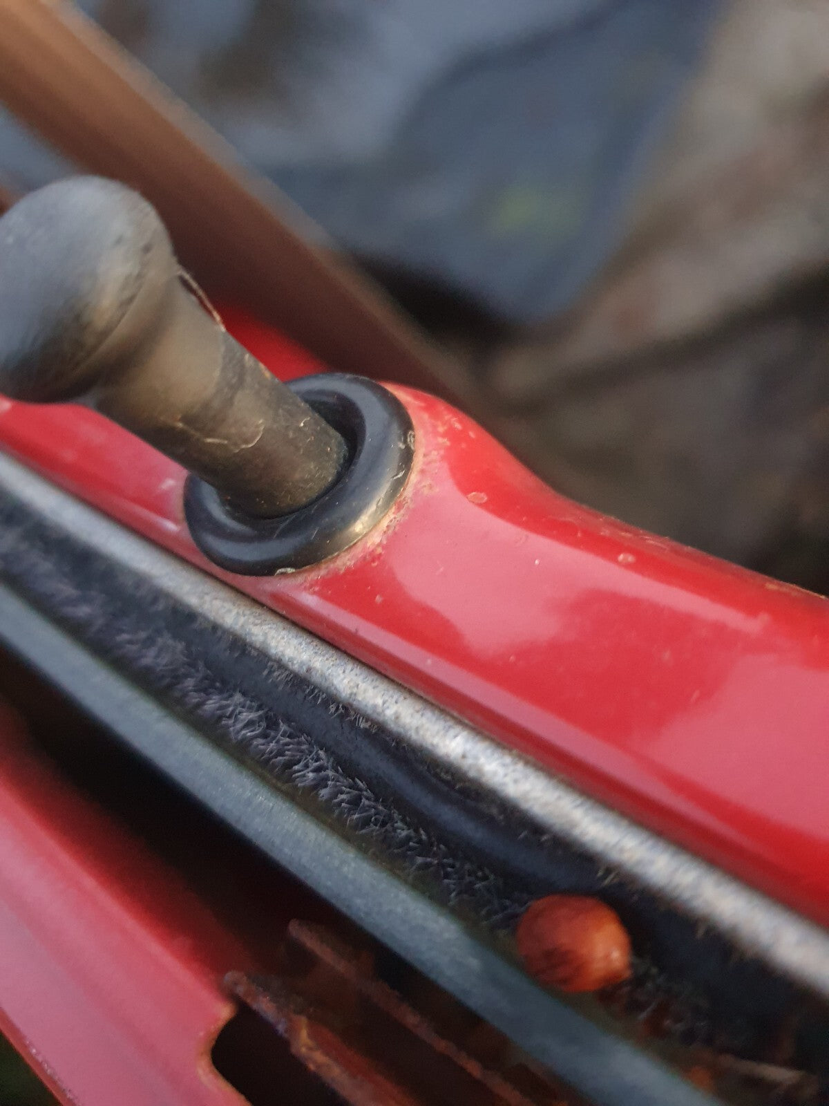 b0cf5a3d89945db49a22026ae42d517d