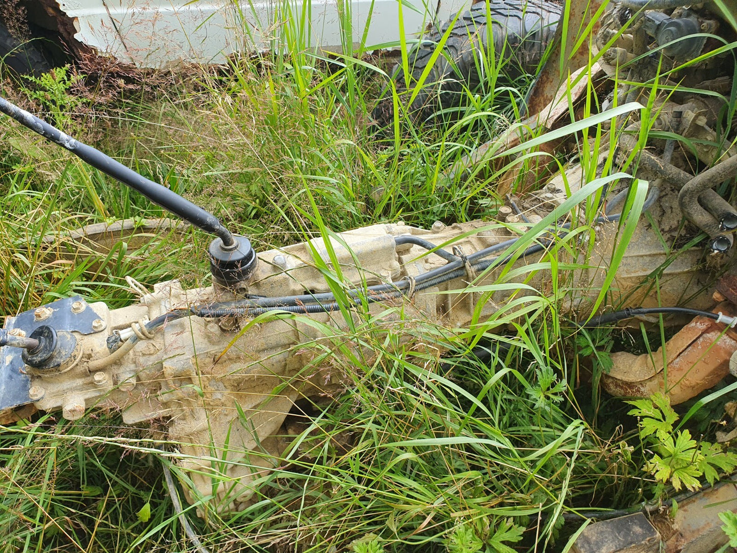 ba498883ebe2cdf3271c65d1d22e0487