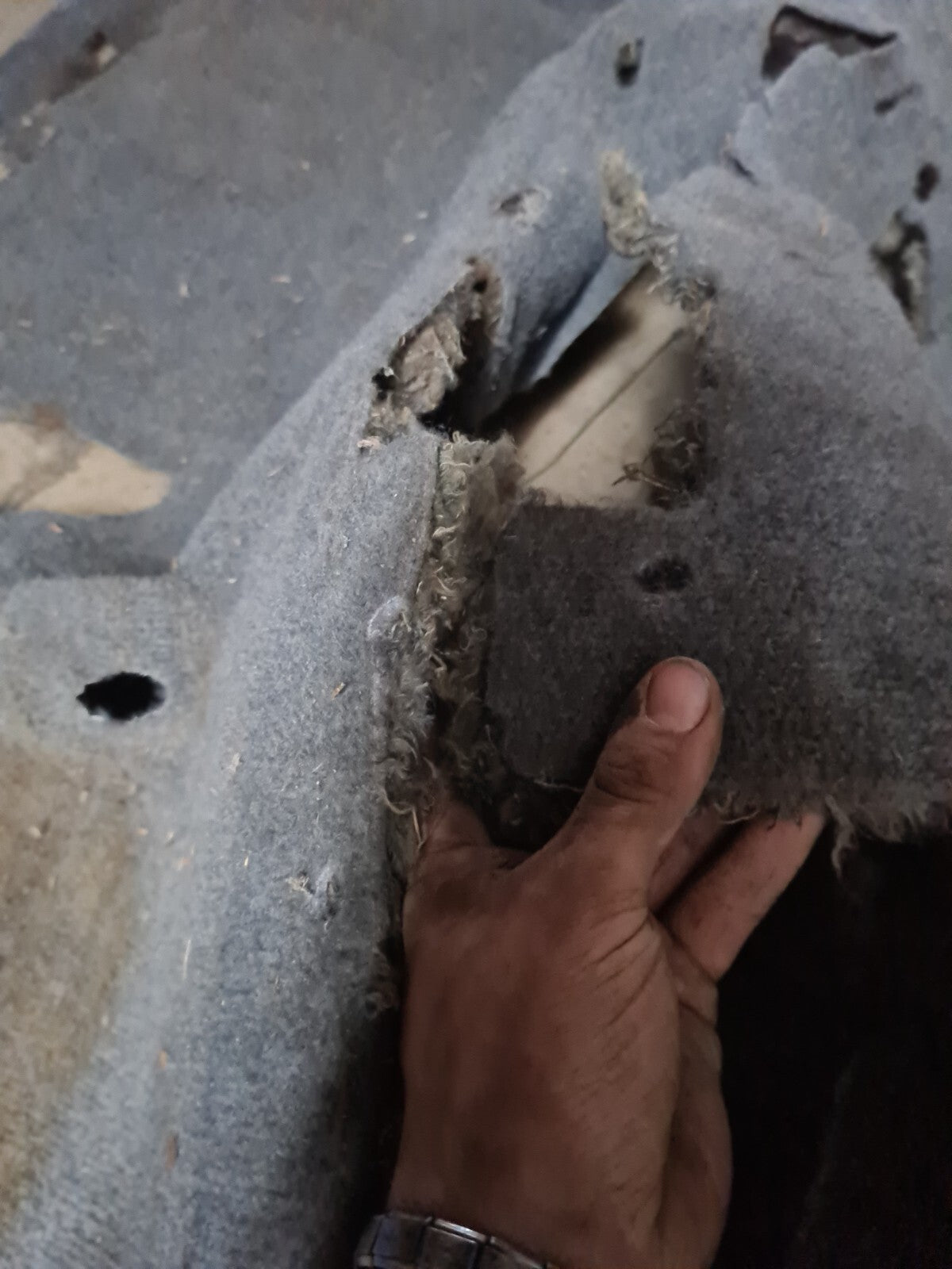 59069d33e50f480f338714a2e923540a