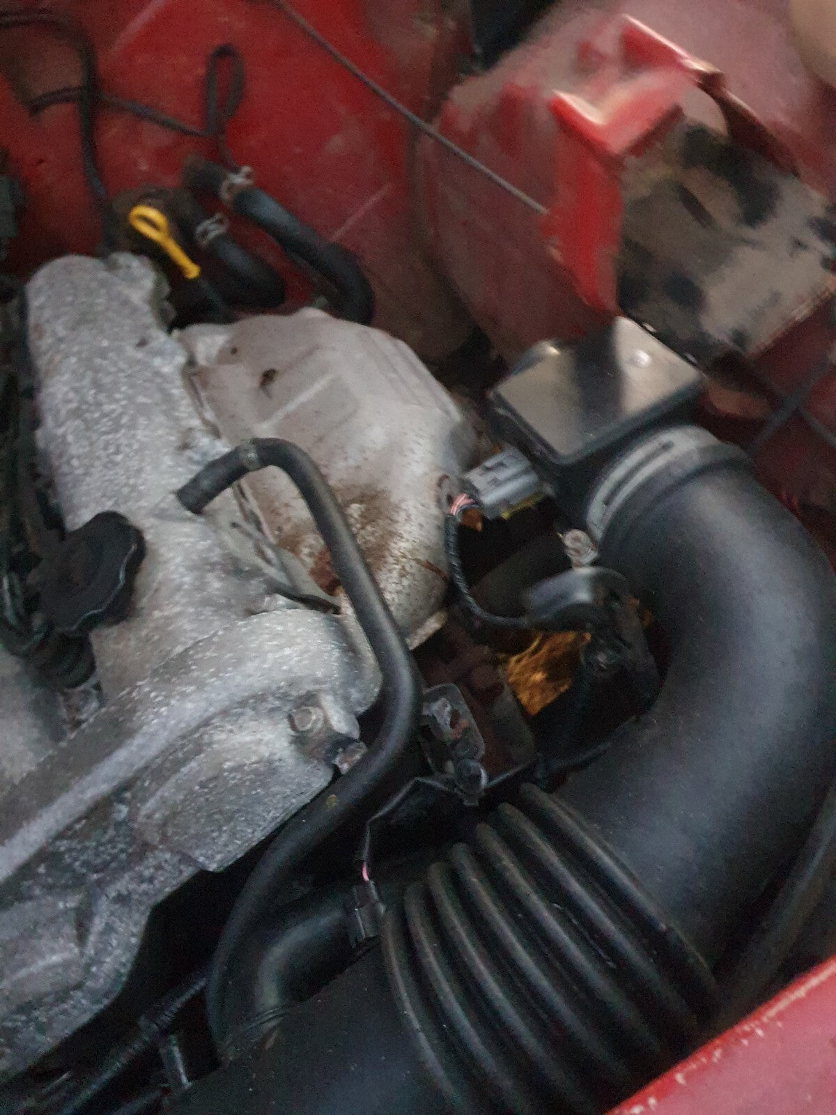 367ba6a4799598e0190c5a46b35c70b5